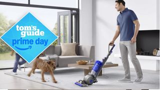 Dyson Ball Animal Total Clean Upright Vacuum