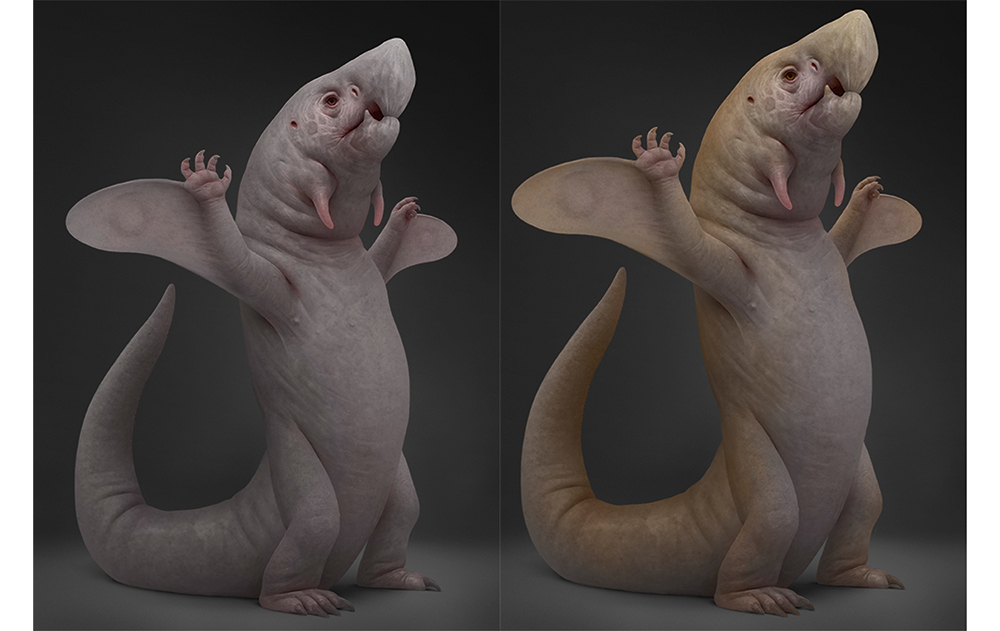 Fantasy creature: colour layers