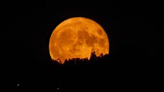 a orange colored full moon rising behind a forest