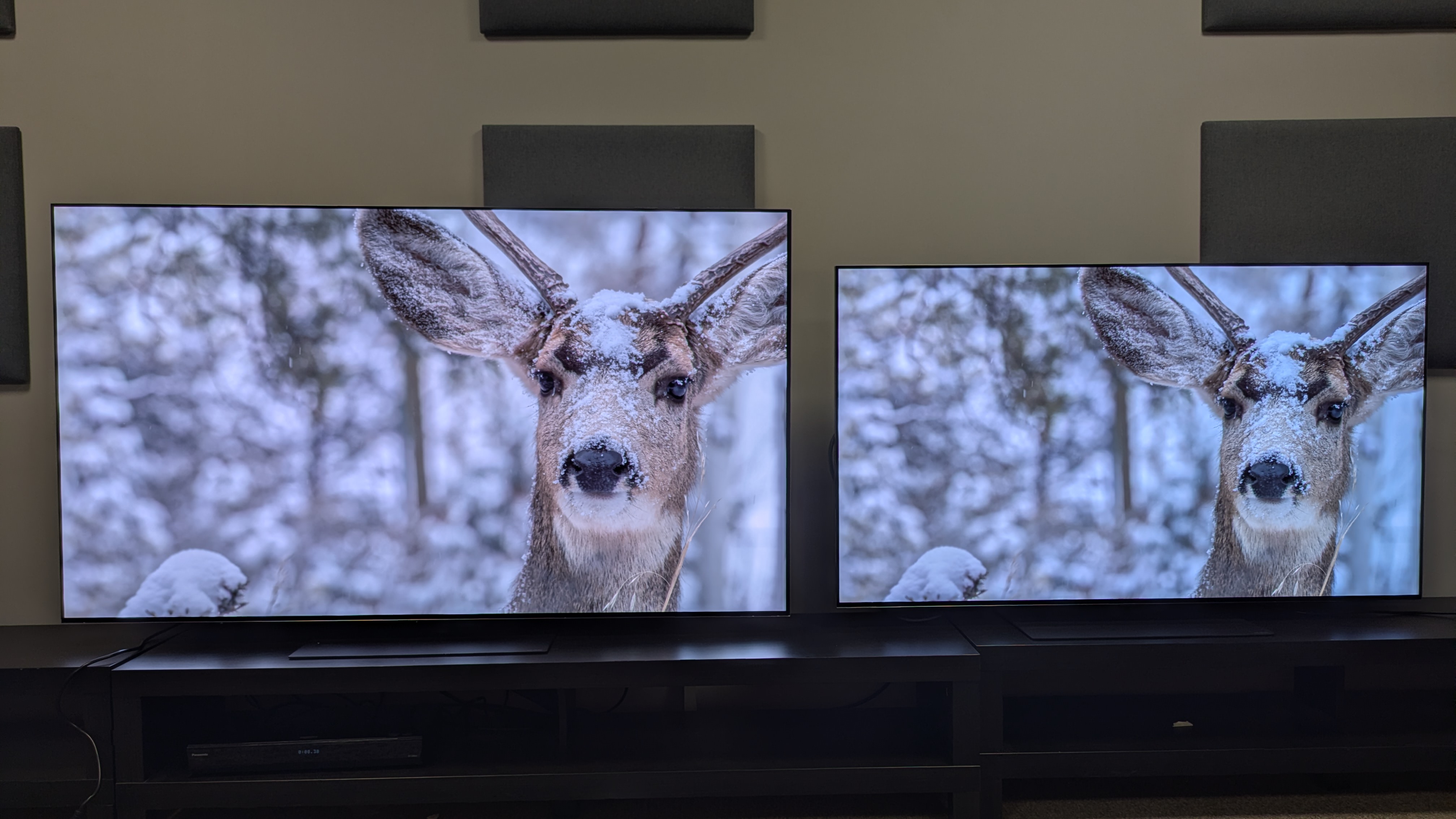 The LG G6 (left) and LG G5 (right) showing a snow covered deer on screen with the G6 showing a more balanced image with more accurate white tones