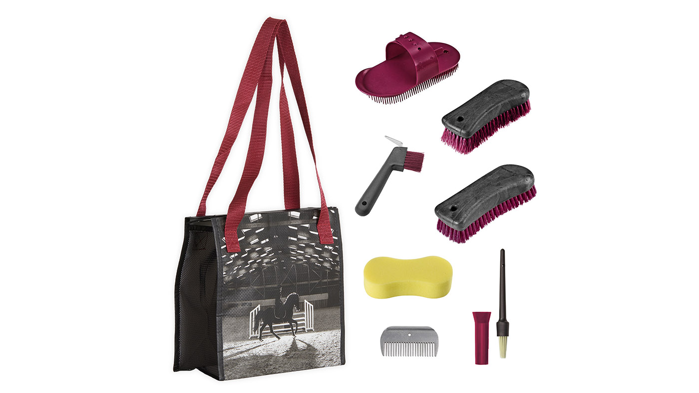 Fouganza grooming kits for horses