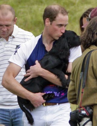 Prince William kissing dog Lupo