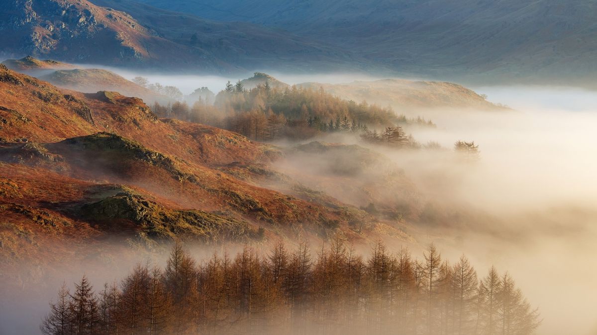 Golden light at sunrise with mist and fog above the Lake District landscape, taken on Loughrigg Fell near Ambleside