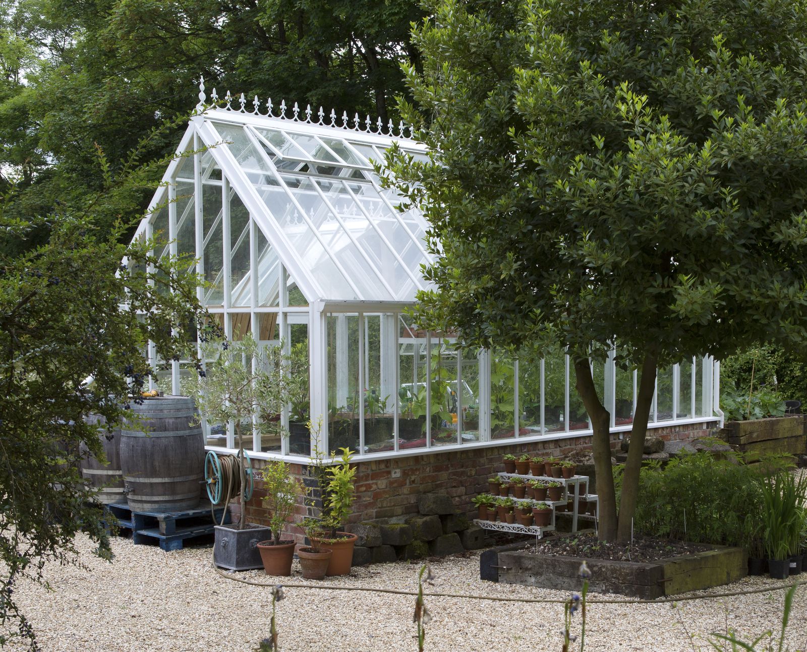 Greenhouse gardening: how to garden under glass | Real Homes