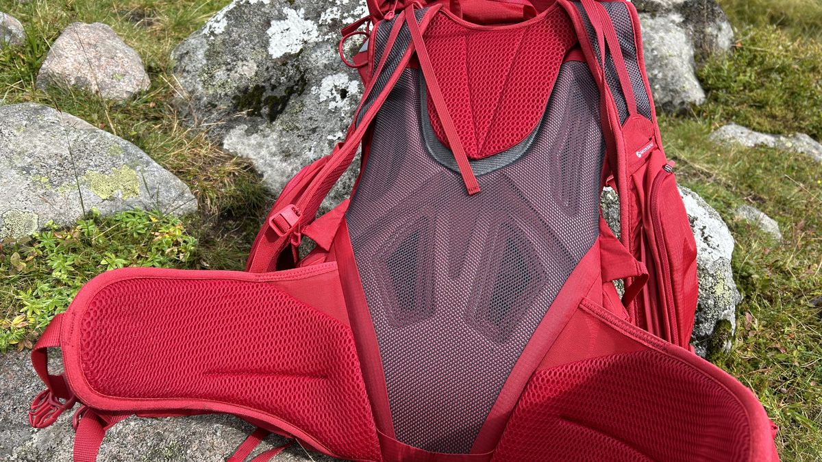 Montane Trailblazer XT25L Backpack: back system