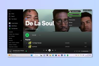 Spotify on PC