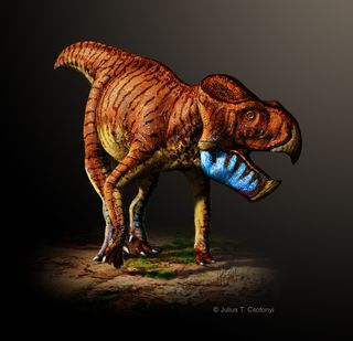 Illustration of <i>Gryphoceratops morrisoni</i>,