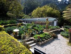Organic Style Garden Full Of Plants
