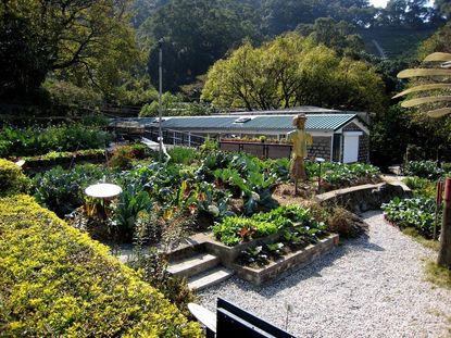 Botanica brings organic, edible gardens home