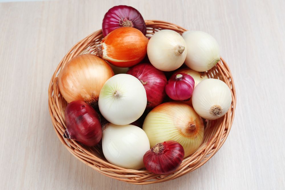 Onions Health Benefits Health Risks Nutrition Facts Live Science