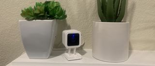 The Wyze Cam v3 between two plants
