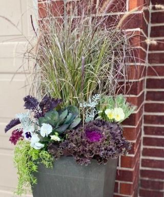 winter container with ornamental grass and ornamental cabbage