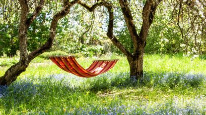 Installing discount a hammock