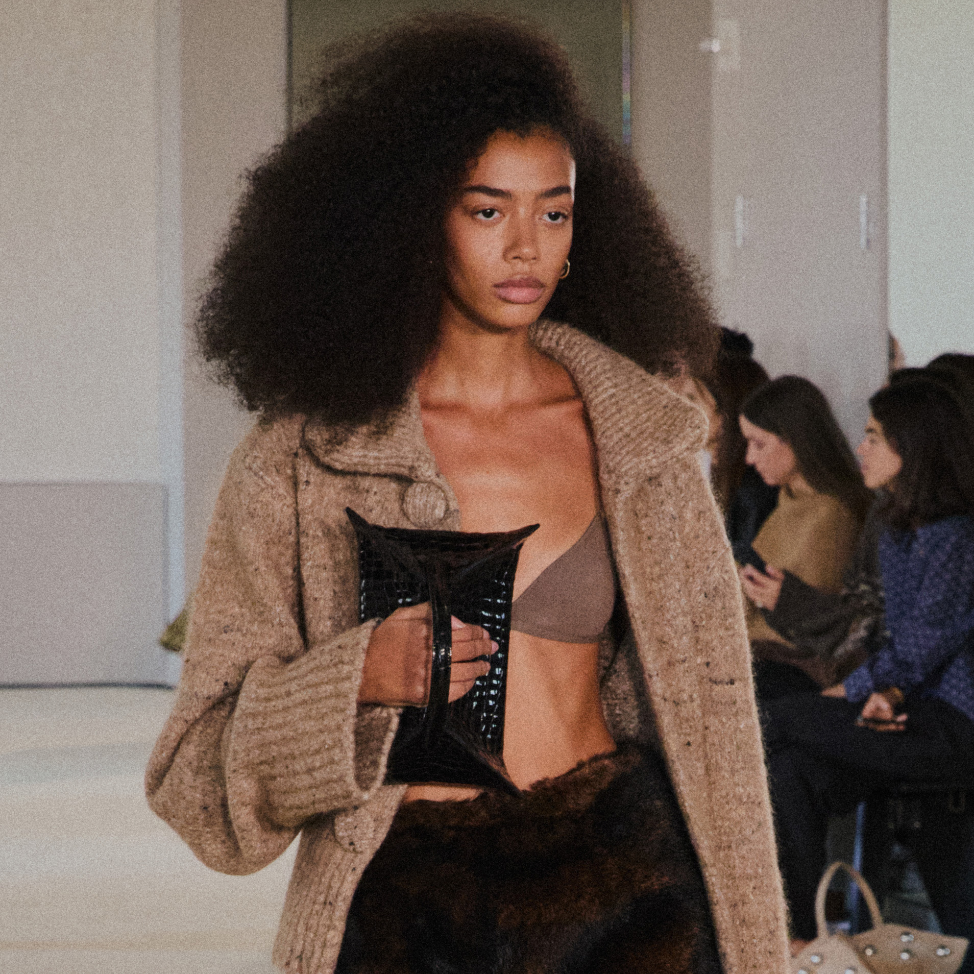 An Altuzarra model