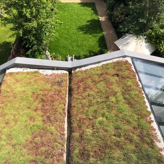 a green roof with two panels with grass, and a further panel with skylights, image showing a long backyard with green lawn