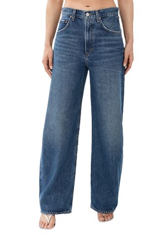 Agolde Low Curve Jeans