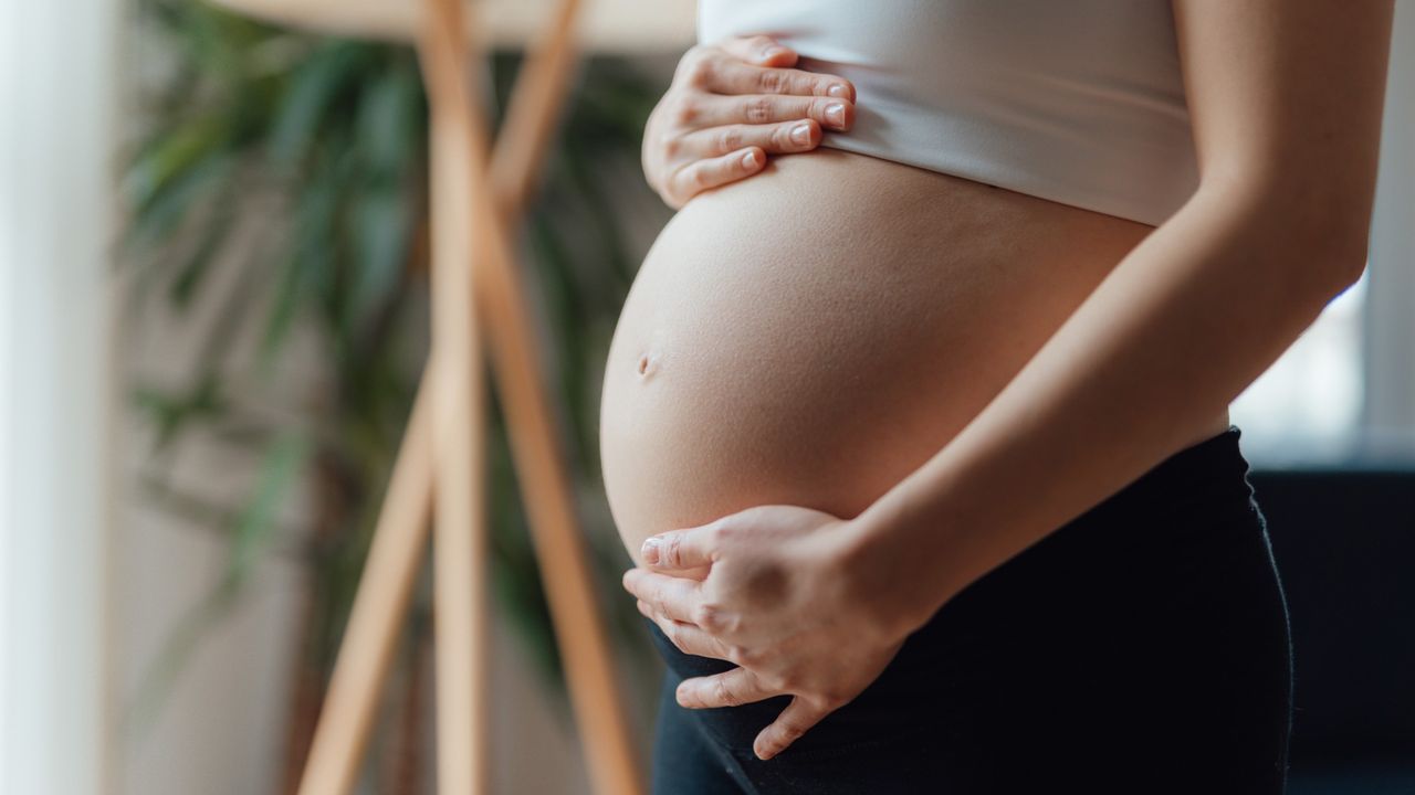 An image of a pregnant woman holding her stomach.