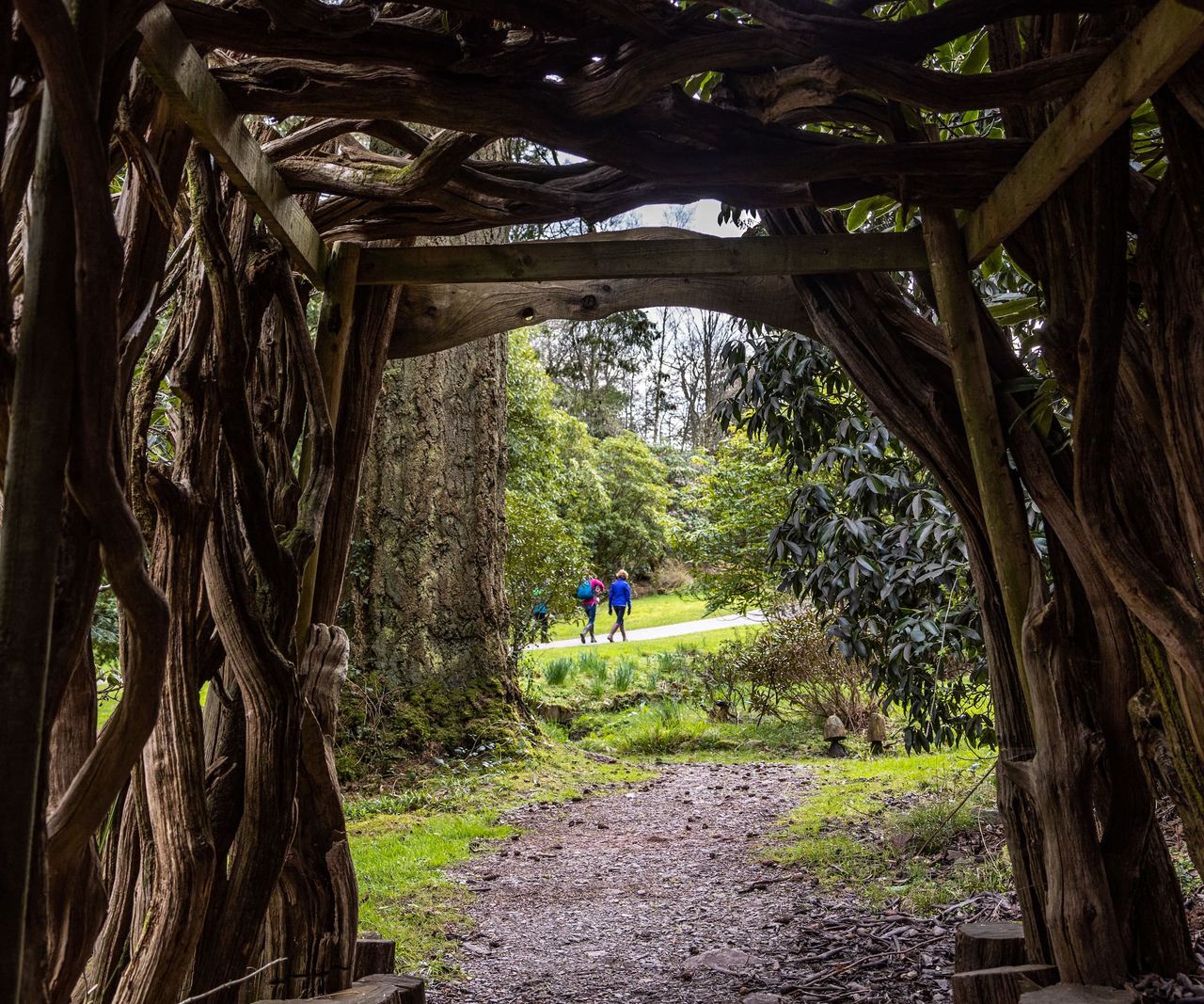 A willow walkthrough in the garden with a walking track leading to a forest