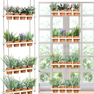 Amazon.com herb planter