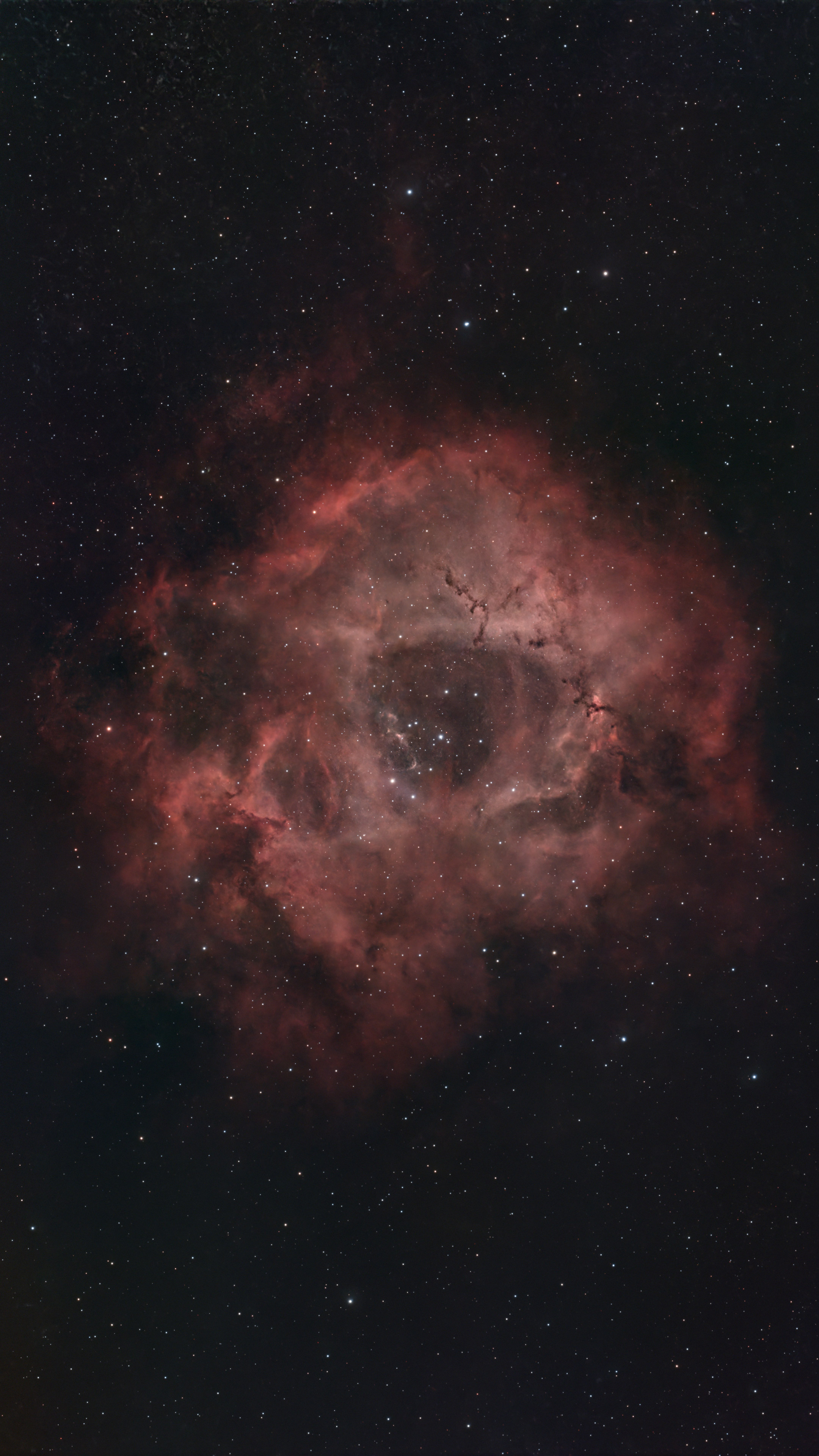Rosette Nebula, NGC 2237, shot with the ZWO Seestar S30 Pro smart telescope and processed using Siril and Pixinsight