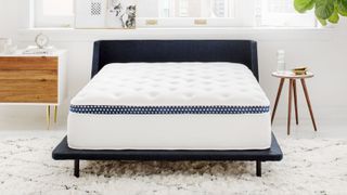 The WinkBed Mattress placed on a dark blue fabric bed frame and covered with a white comforter