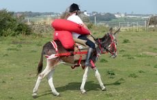 emergency saddle