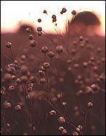 5044256D-8B00-46C8-A931-6CBCD7BE248C.jpg