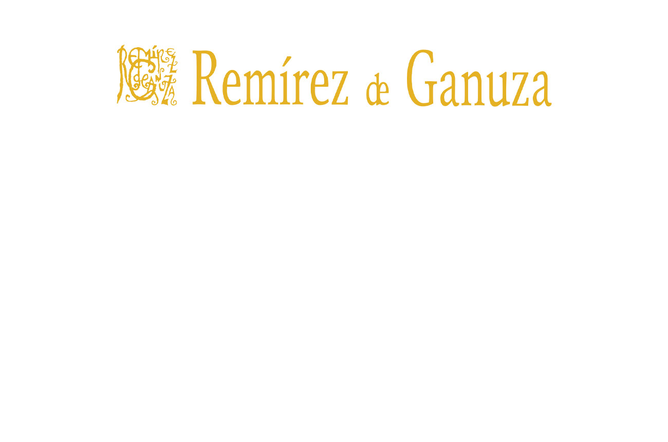 Remirez_de_ganuza_logo_web.jpg