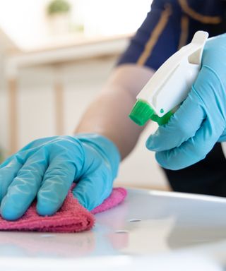 An image of a person wearing blue gloves and holding a pink cleaning cloth in one hand and a bottle of cleaning spray in the other