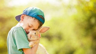 Golden rabbit being hugged by child in green T-shirt