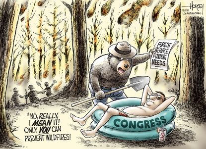 Editorial cartoon U.S. Forest Fires Congress