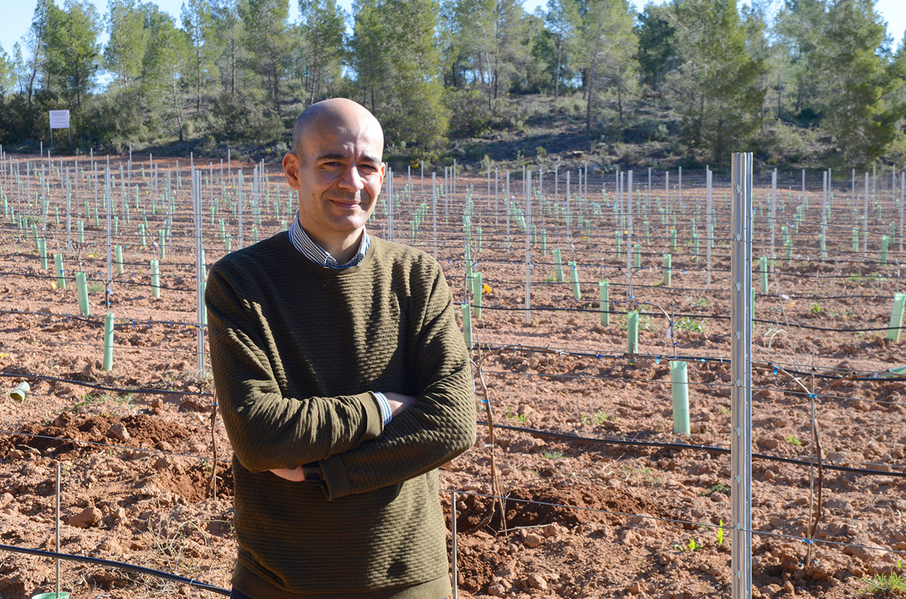 Utiel-Requena Diego Intrigliolo