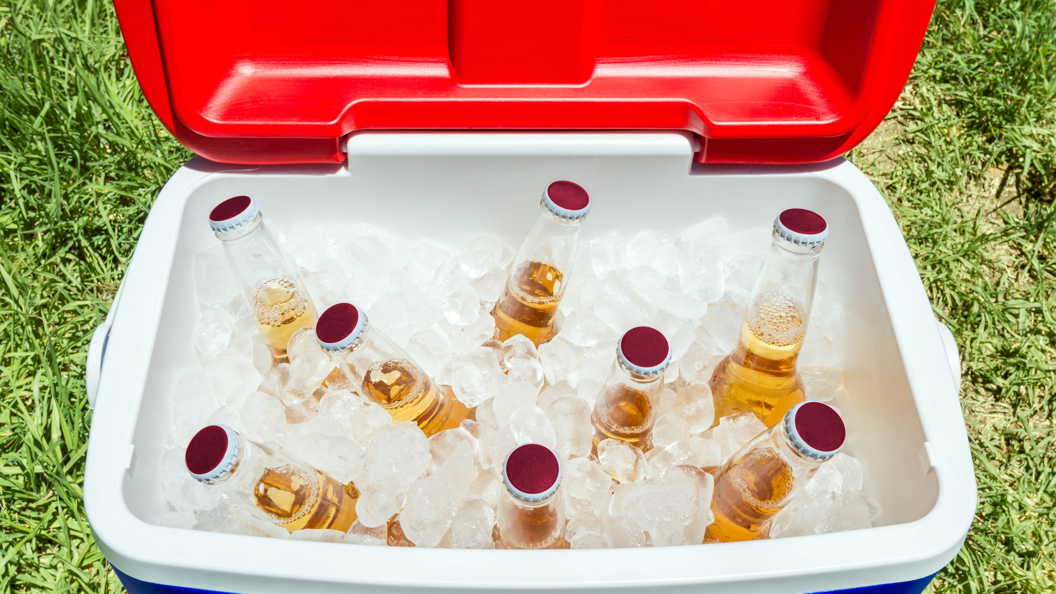 Red ice cooler with bottles inside