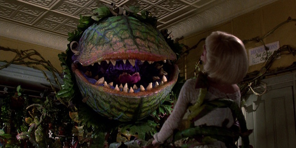 little shop of horrors remake