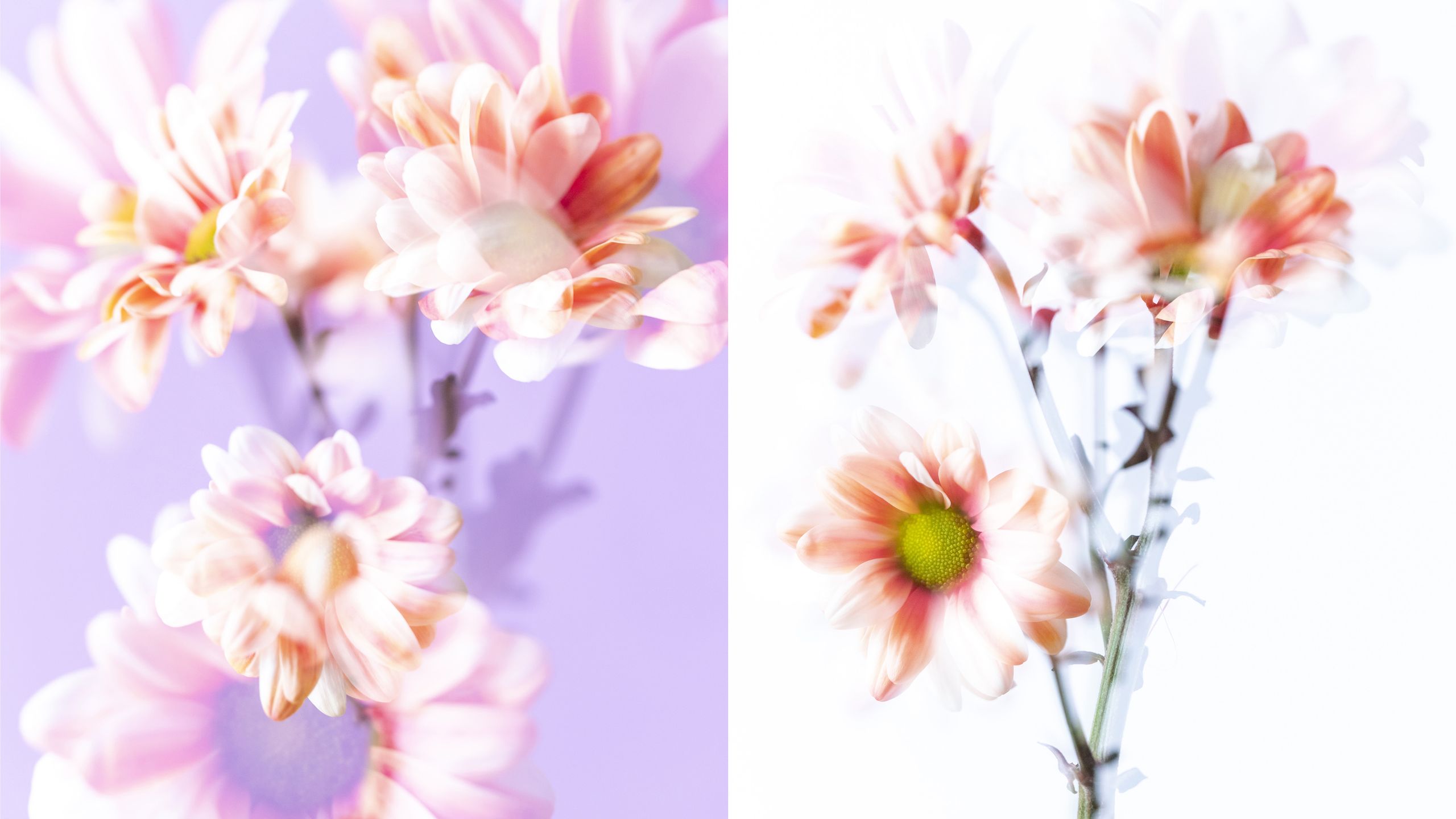 Double trouble! How to use the multiple exposure options on a Canon ...