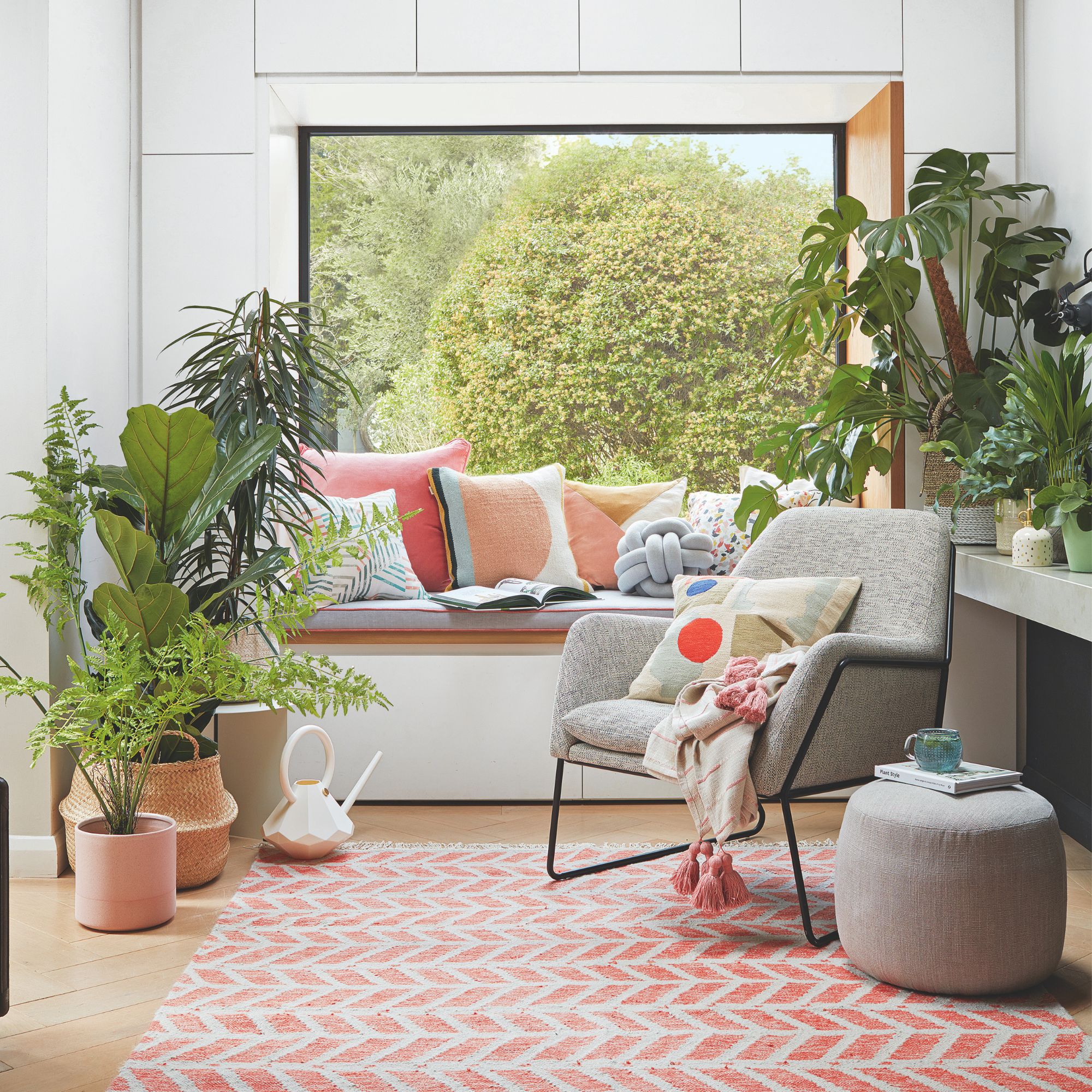 houseplants by window