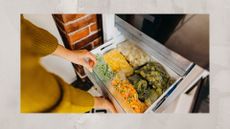 A freezer full of batch-prepared meals