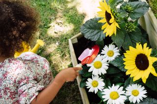 garden play area ideas: growing flowers