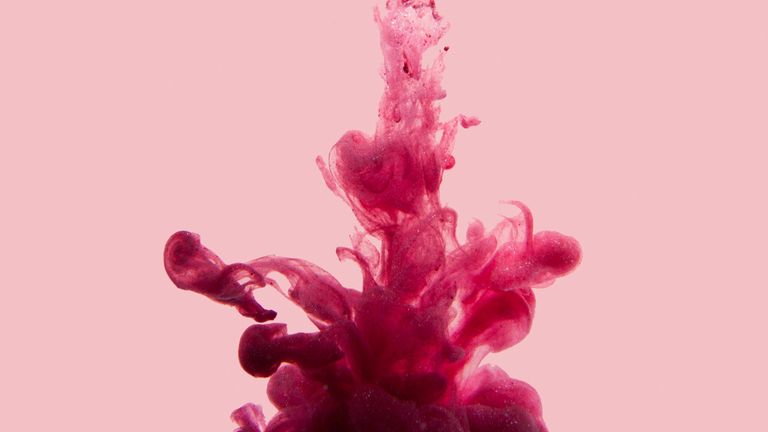 Pink, Red, Magenta, Water, Macro photography, Close-up, Organism, Material property, Plant, Hand, 