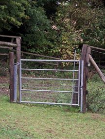 Gate.jpg