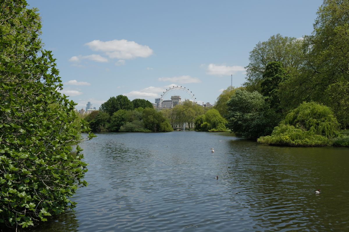 Hyde Park and London Eye shot on Leica Q3