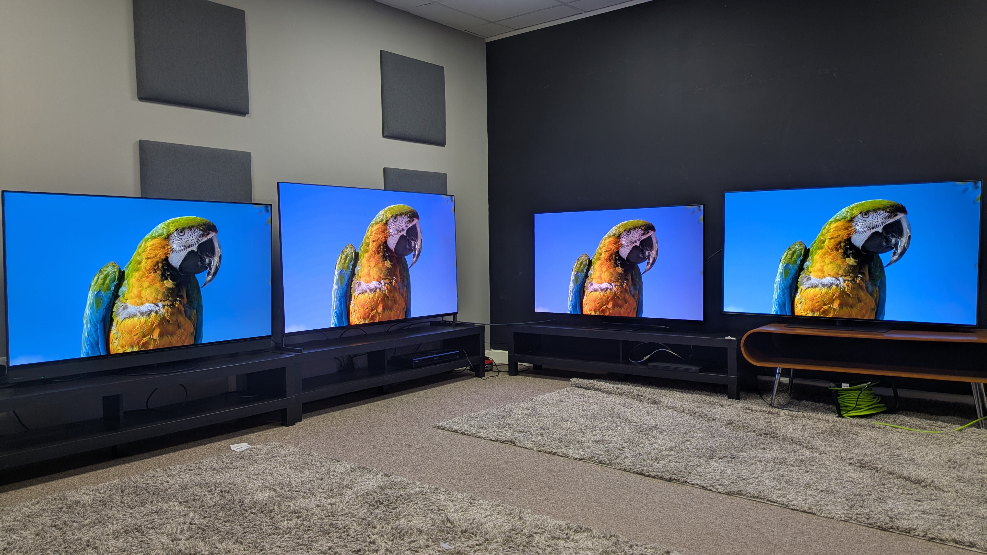 Panasonic Z95B (far left) Sony Bravia 8 II (middle left) Samsung S95F (middle right) LG G5 (far right) with parrot on screen