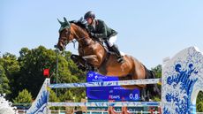 Daniel Coyle and Legacy at the Paris Olympic Showjumping.