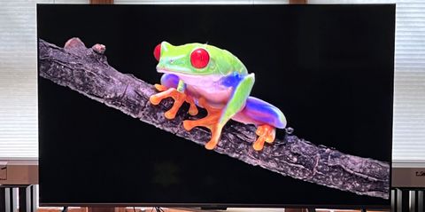 Roku Plus Series TV showing frog onscreen