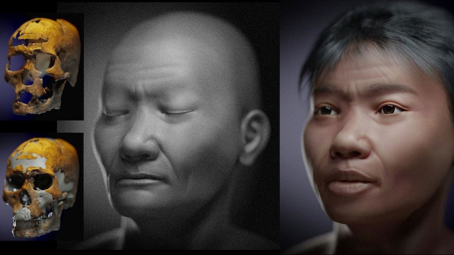 See the lifelike face of Zuzu, a man who lived 9,600 years ago in Brazil |  Live Science