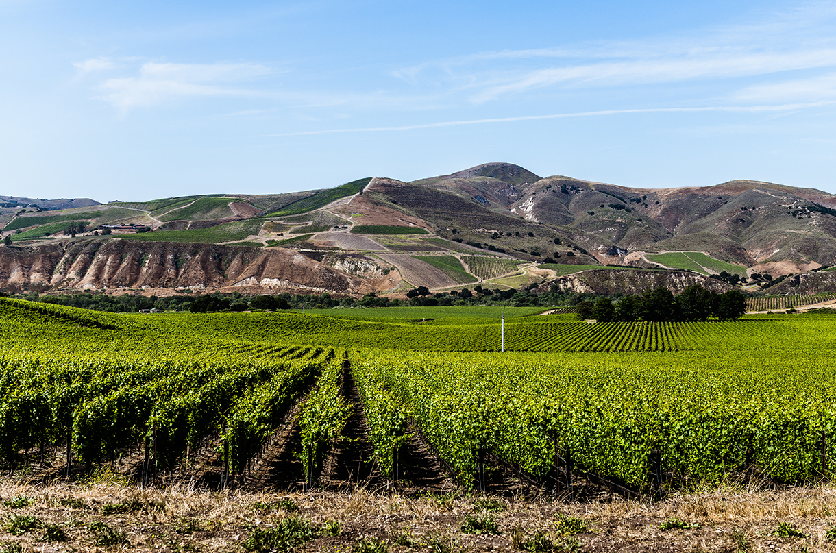 Santa Barbara County AVA