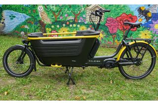 The Raleigh Stride 2 e-cargo bike is shown in full side on with a colourful mural on a wall in the background on grass