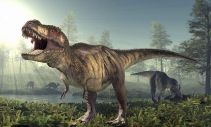 While the dinosaurs we are familiar with are not know for a downy coat, new research reveals that some dinosaurs may have been fine, feathered foes.