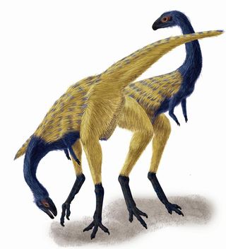 The fossilized hands from this plant-eating dinosaur reveal a transitional step in the evolution of modern wings from dino digits. The finding could resolve a debate over which fingers ultimately became embedded in the wing. This dinosaur, Limusaurus inex