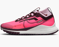 Nike Pegasus Trail 4 GORE-TEX (women's): was $160 now $104 @ Nike